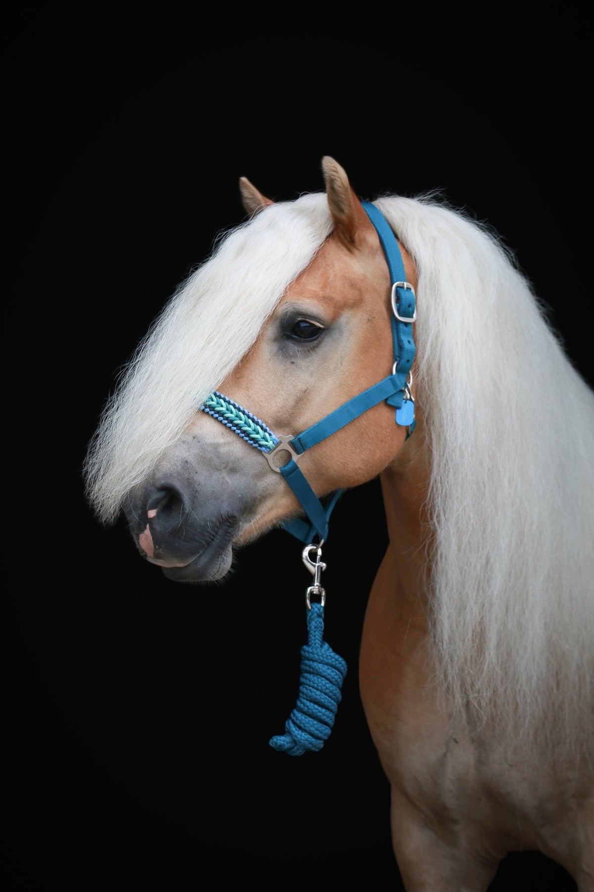 Handgemaakte paardenhalsters - Geknoopt halster ‘Bora Bora’ blauw/ teal/ mint