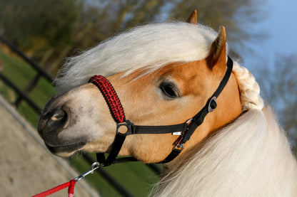 Handgemaakte paardenhalsters - Geknoopt halster ‘Inferno’ zwart/ rood