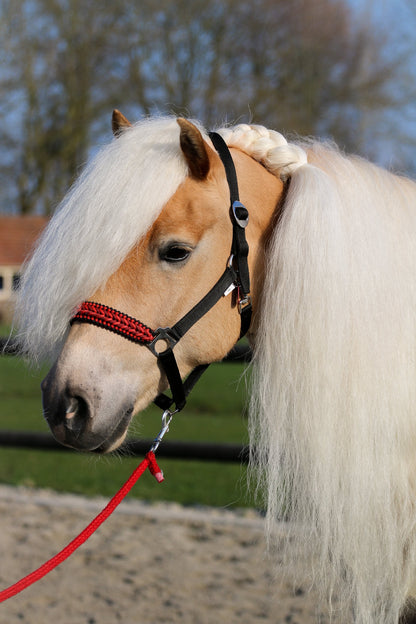 Handgemaakte paardenhalsters - Geknoopt halster ‘Inferno’ zwart/ rood