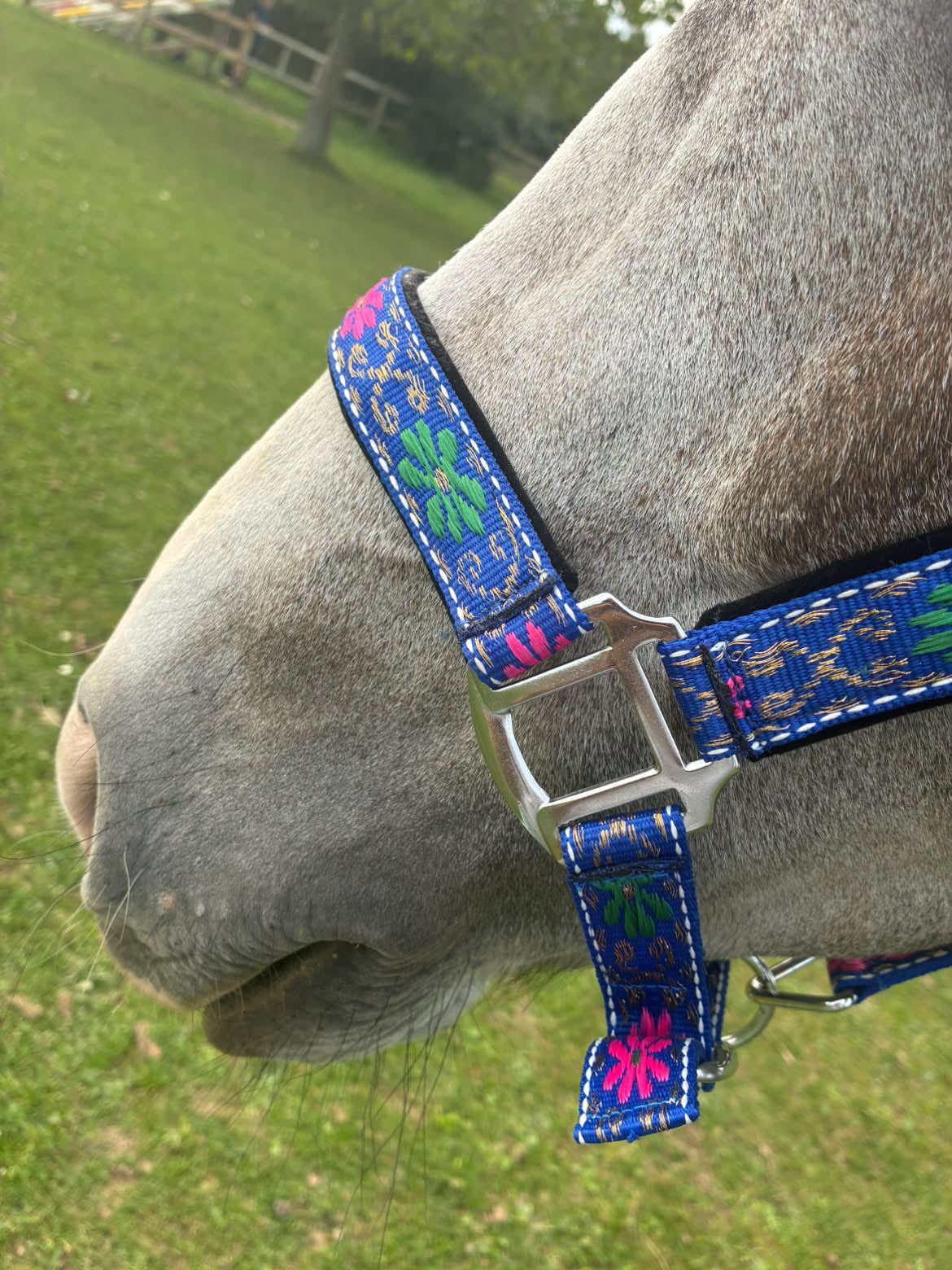 FMH - Nylon blauw halster met bloemen en padding ‘Folklore’