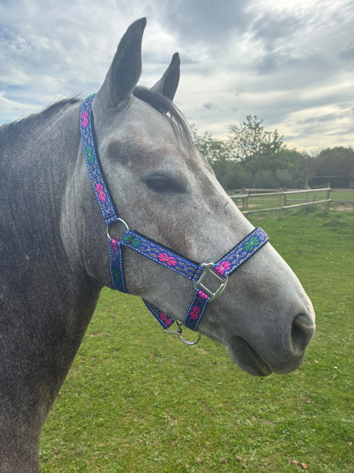 FMH - Nylon blauw halster met bloemen en padding ‘Folklore’