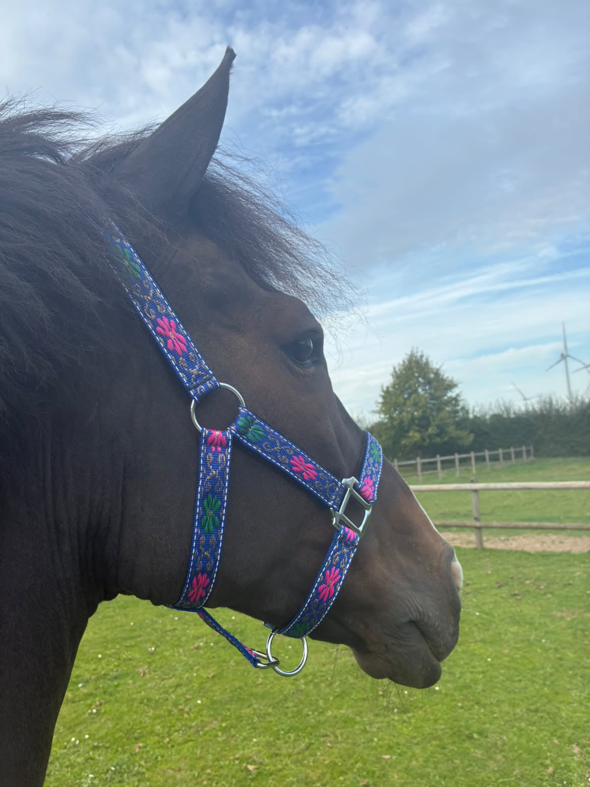 FMH - Nylon blauw halster met bloemen en padding ‘Folklore’