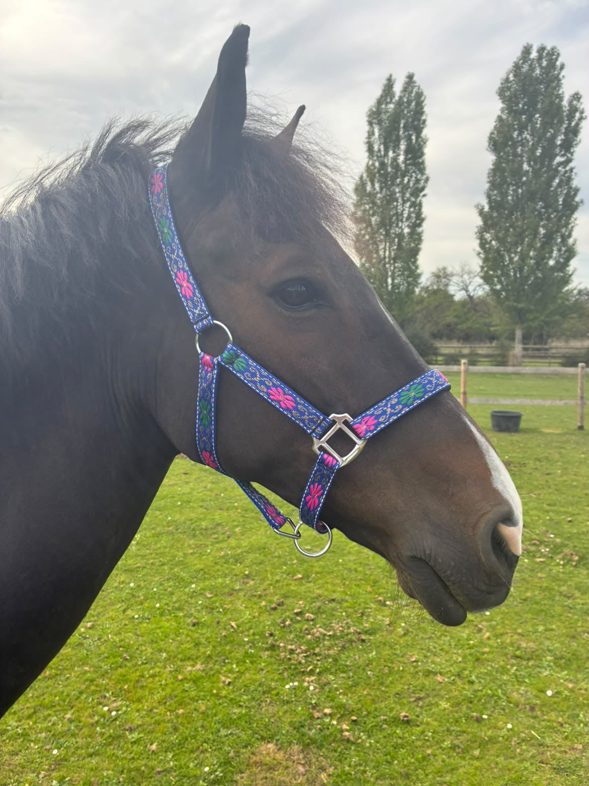 FMH - Nylon blauw halster met bloemen en padding ‘Folklore’