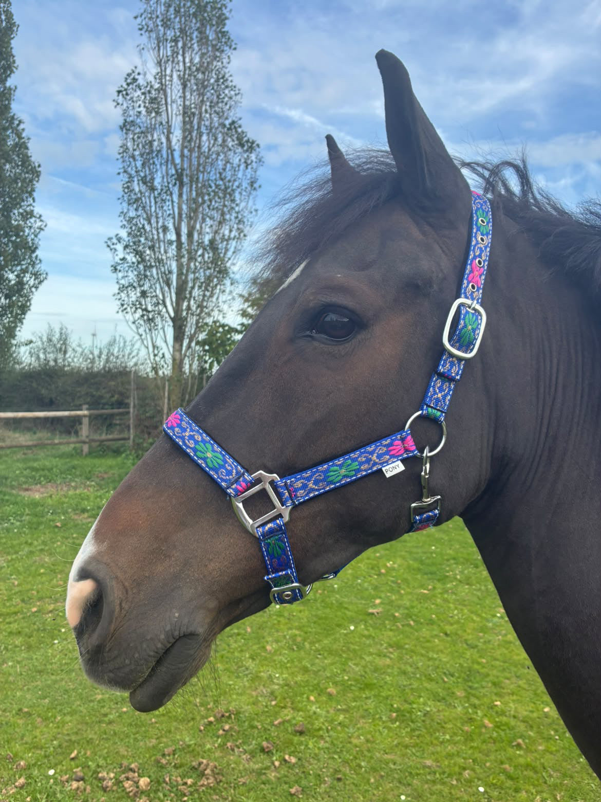 FMH - Nylon blauw halster met bloemen en padding ‘Folklore’