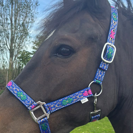 FMH - Nylon blauw halster met bloemen en padding ‘Folklore’