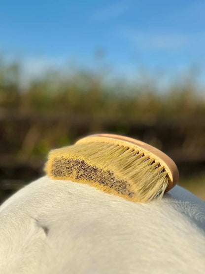 PIPPA - Paardenborstel Harde Flick Borstel