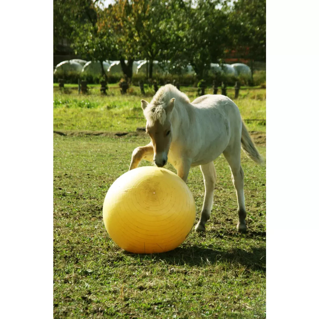 Excellent Horse - Maximus Power Play Ball 65/75/100cm