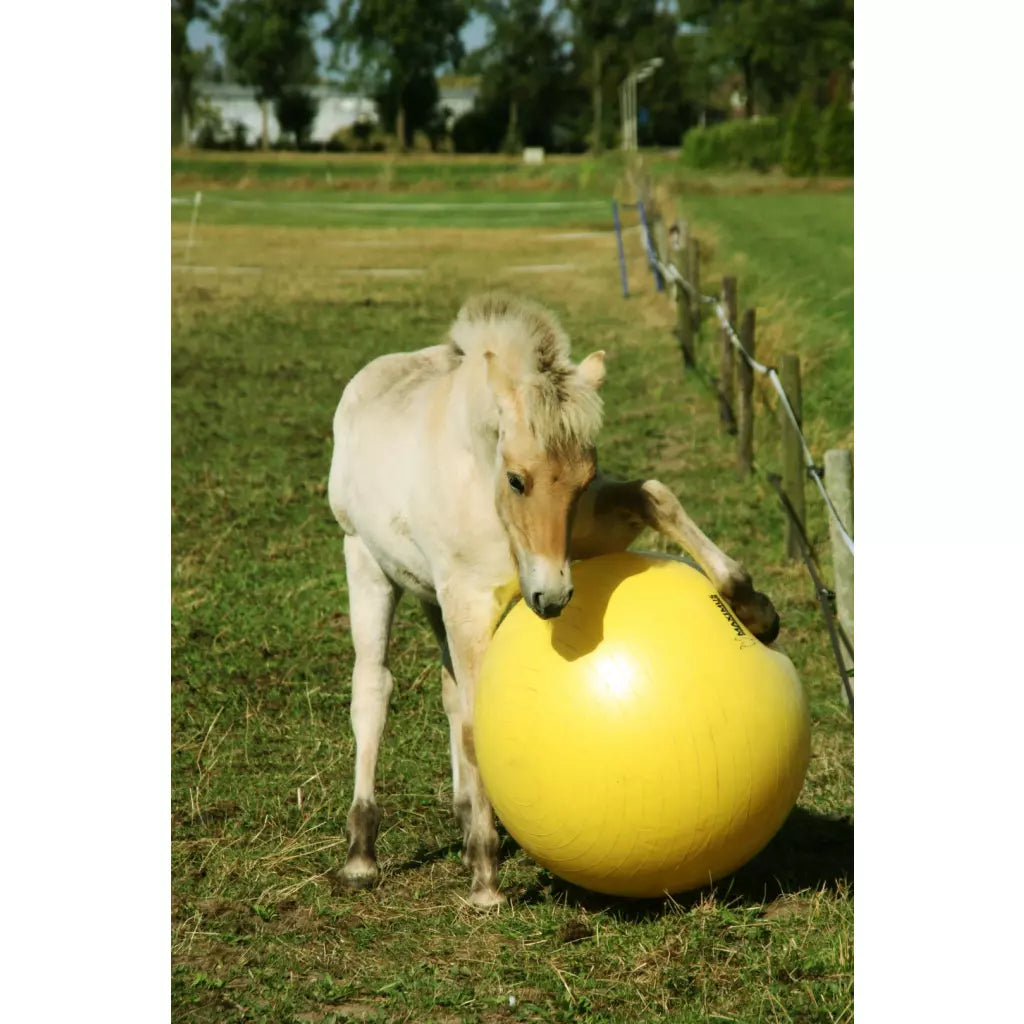 Excellent Horse - Maximus Power Play Ball 65/75/100cm