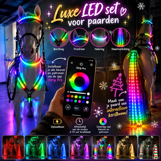 FMH - Luxe LED set voor paarden (borsttuig, frontriem, halsring en staartverlichting) interactief met app