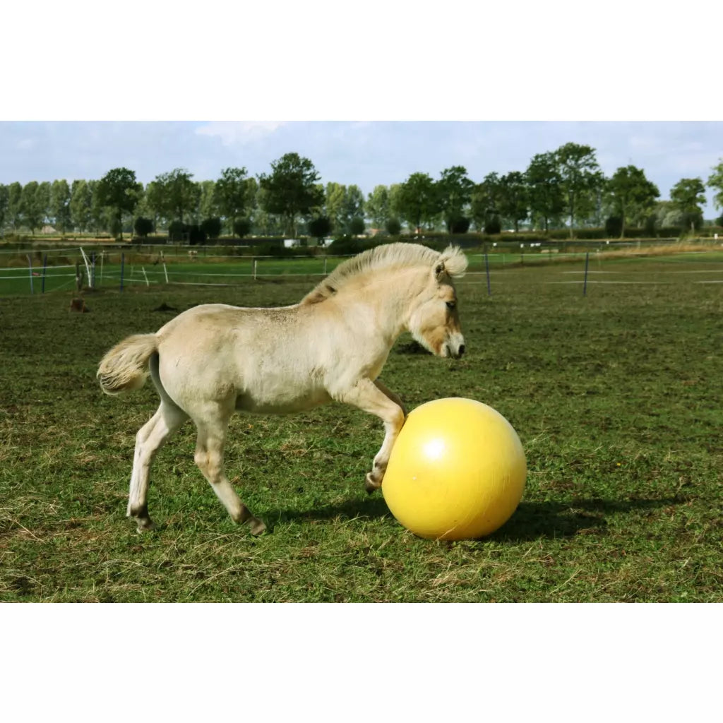 Excellent Horse - Maximus Power Play Ball 65/75/100cm