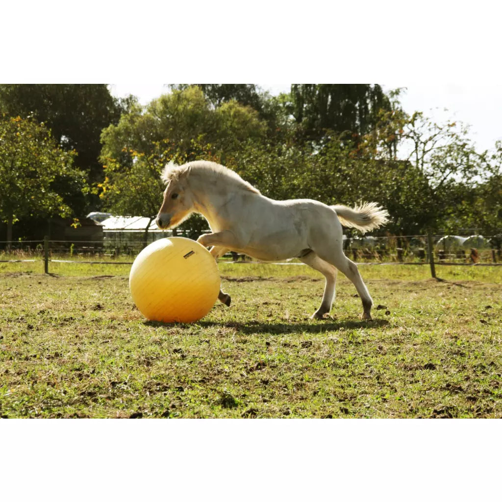 Excellent Horse - Maximus Power Play Ball 65/75/100cm