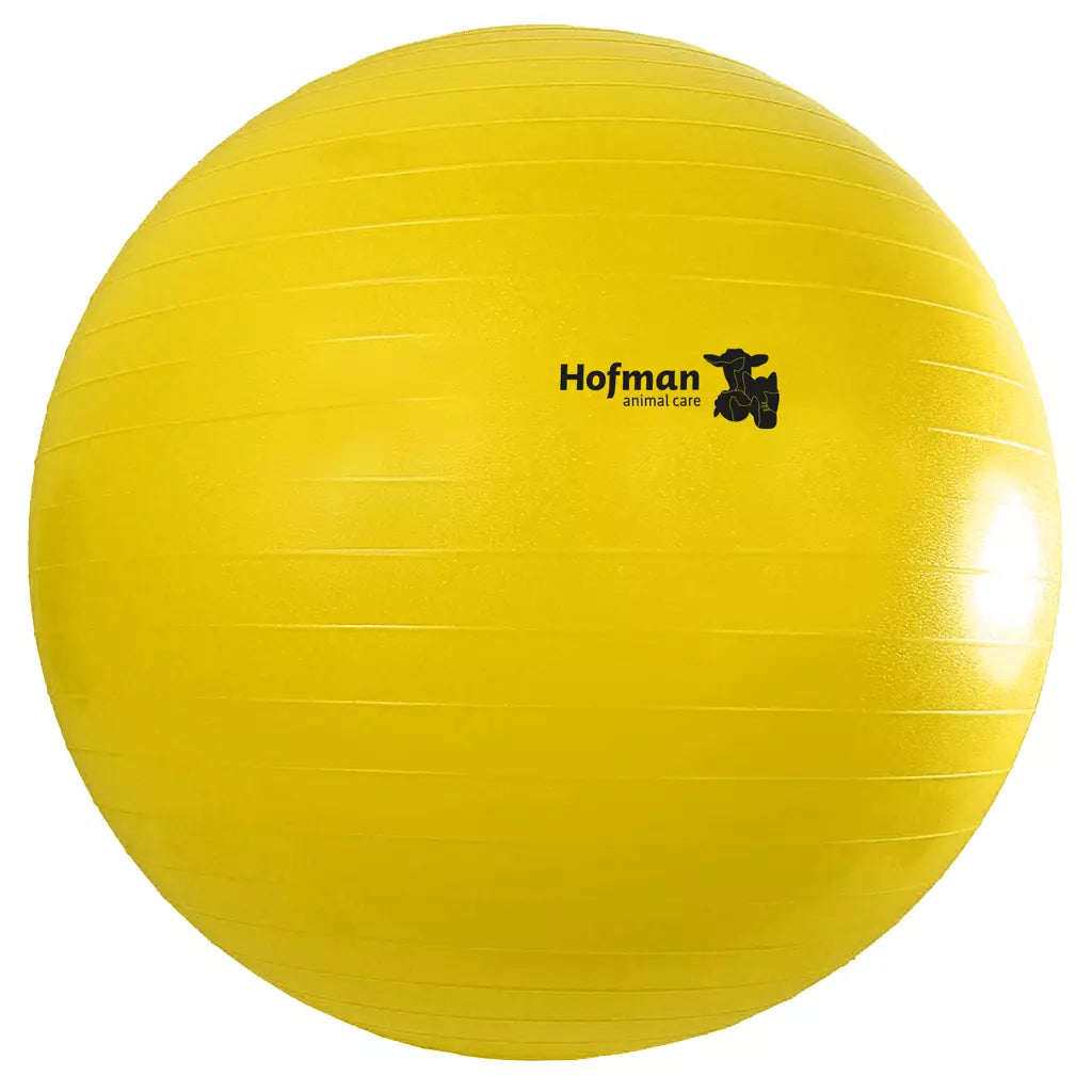 Excellent Horse - Maximus Power Play Ball 65/75/100cm