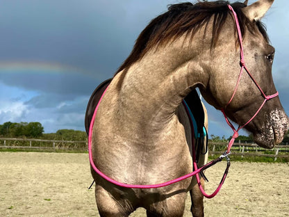 FMH - Gesloten teugels van touw met lederen detail en clip ‘Rope Rein Pink’