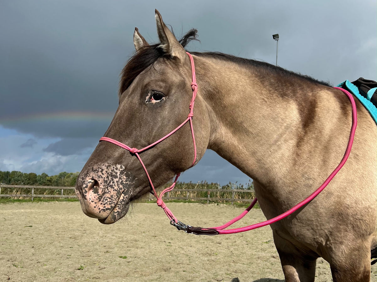 FMH - Gesloten teugels van touw met lederen detail en clip ‘Rope Rein Pink’