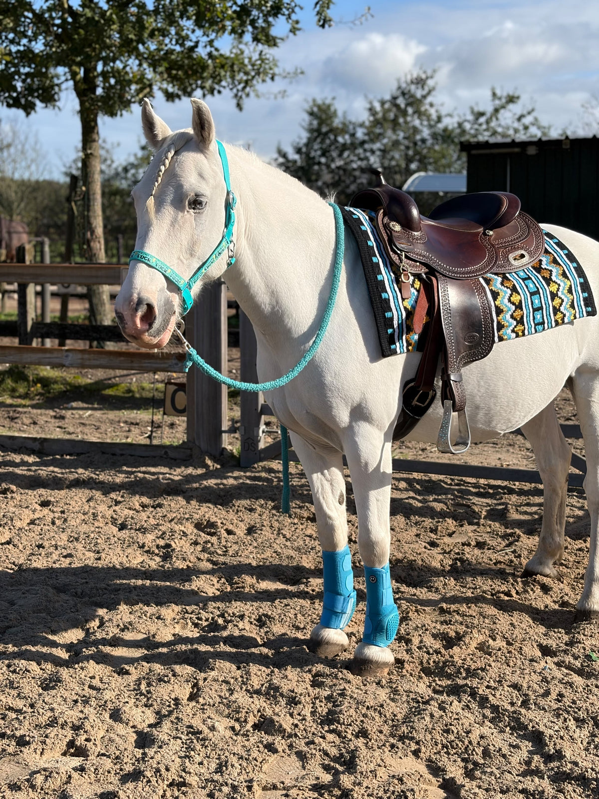 FMH - NeoPro the Solids - Neoprene leg protectors boots for horses (various colors)