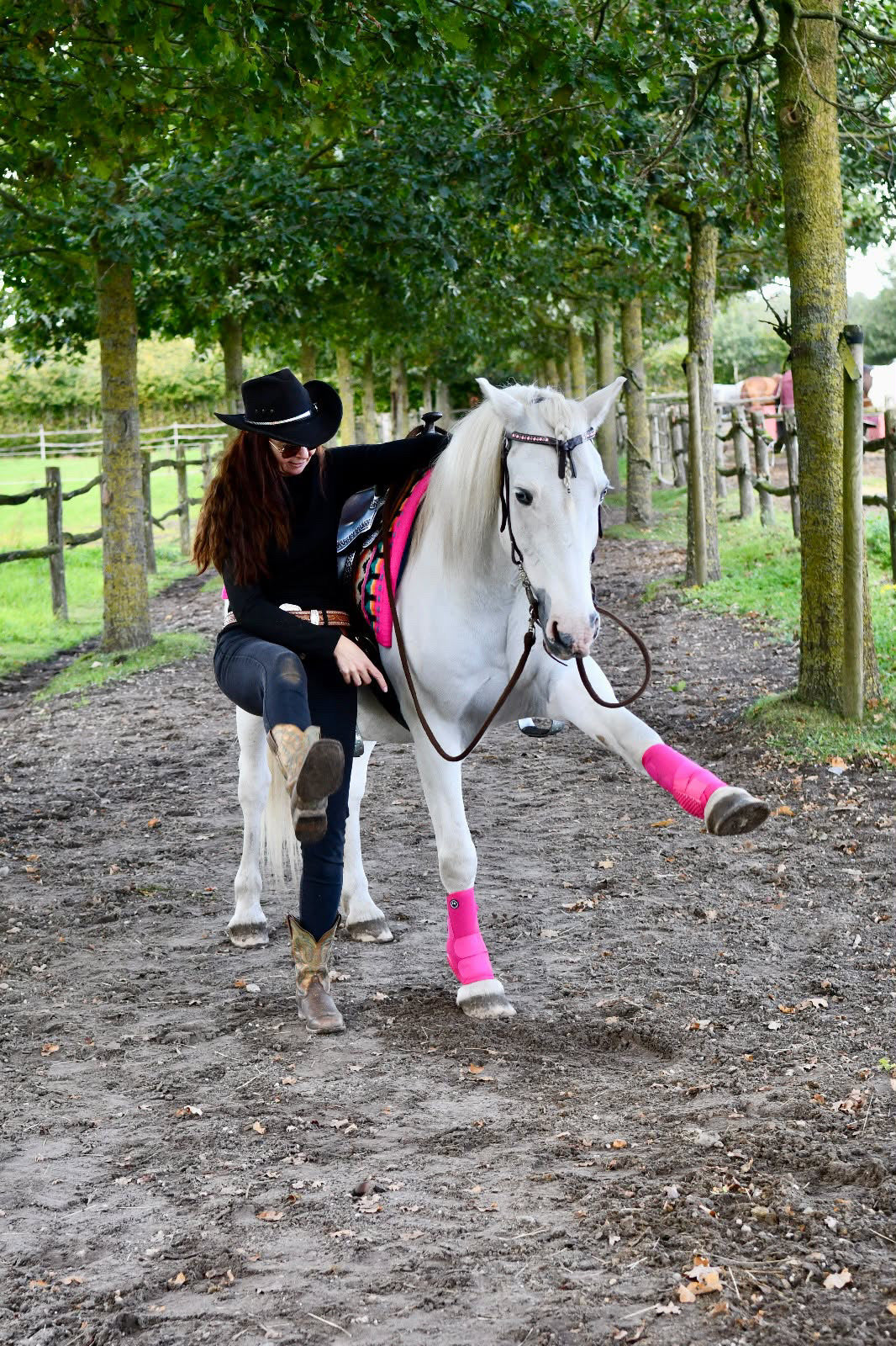 FMH - NeoPro the Solids - Neoprene leg protectors boots for horses (various colors)