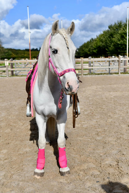 FMH - NeoPro the Solids - Neoprene leg protectors boots for horses (various colors)