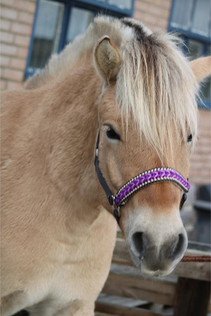 Freni per cavalli fatti a mano - Capestro annodato ‘Purple Rain’ Antracite/viola