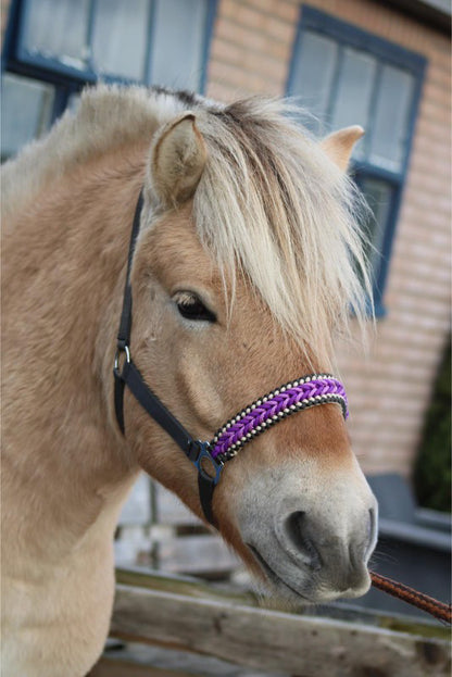 Freni per cavalli fatti a mano - Capestro annodato ‘Purple Rain’ Antracite/viola