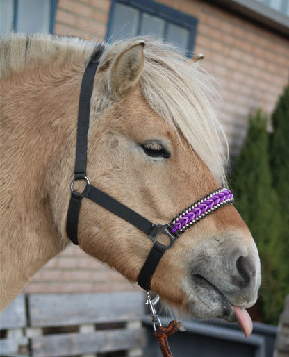 Freni per cavalli fatti a mano - Capestro annodato ‘Purple Rain’ Antracite/viola