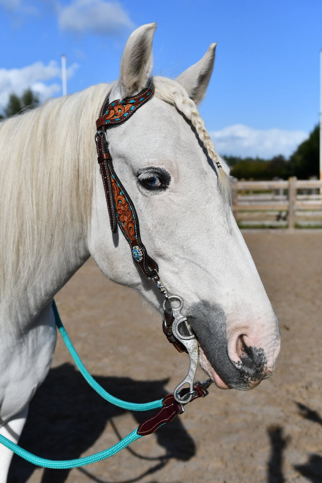 LS Western - Western Leather One Ear Headstall with Flower Tooling and Turquoise Finish