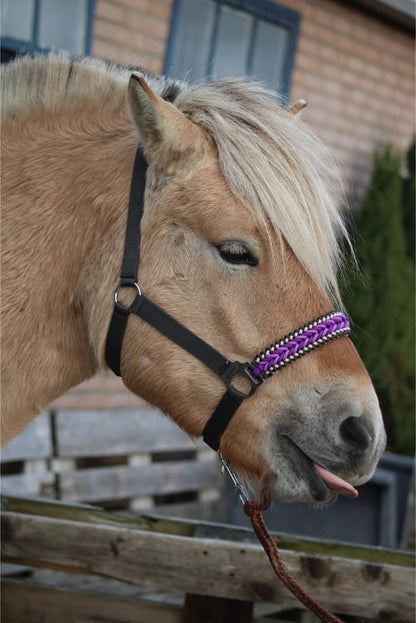 Freni per cavalli fatti a mano - Capestro annodato ‘Purple Rain’ Antracite/viola