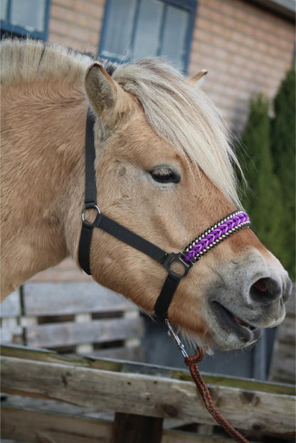 Freni per cavalli fatti a mano - Capestro annodato ‘Purple Rain’ Antracite/viola