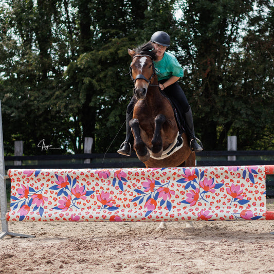 Jumpbanners - Hinderniszeil Standard Pinkie Panther