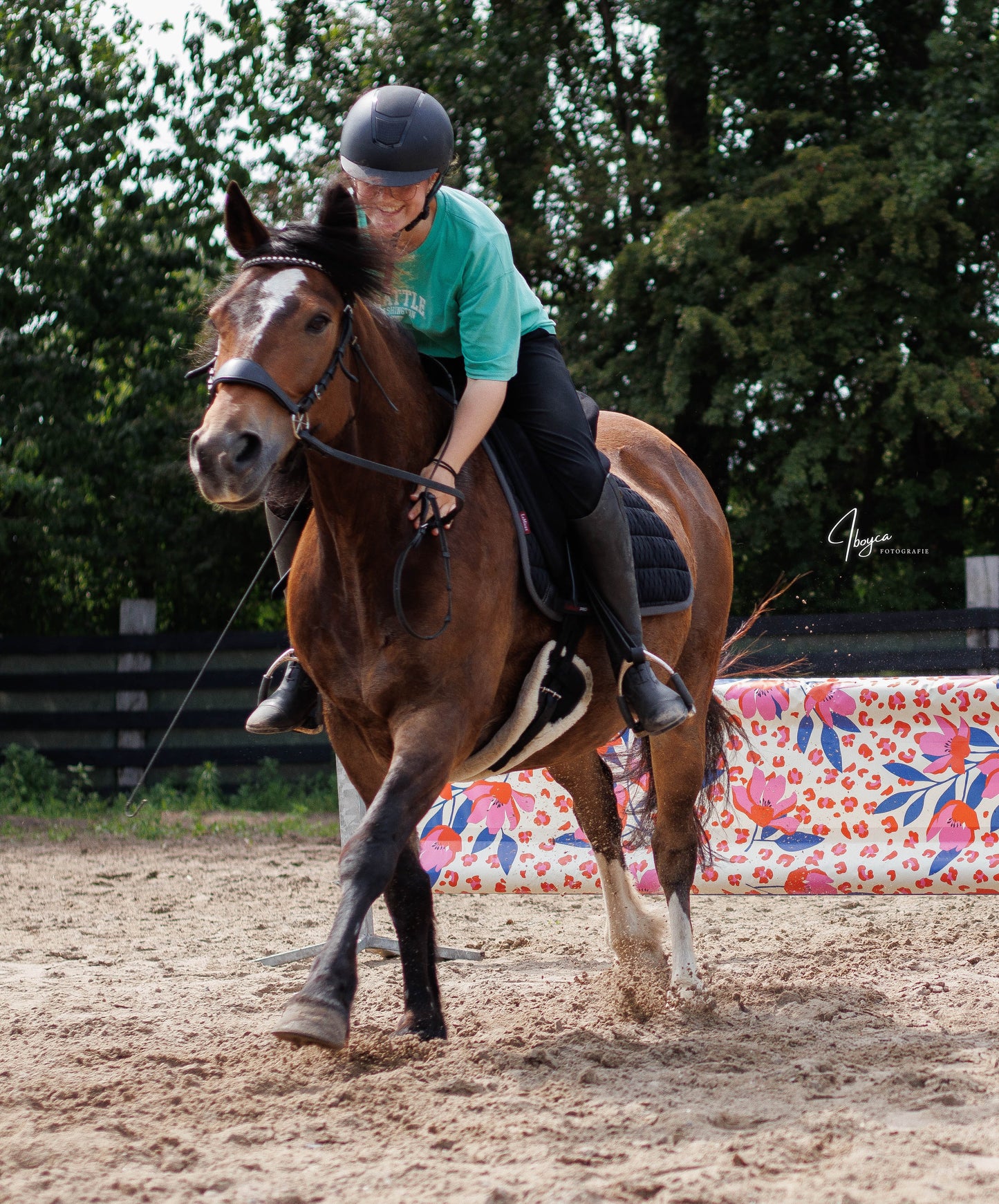 Jumpbanners - Hinderniszeil Standard Pinkie Panther