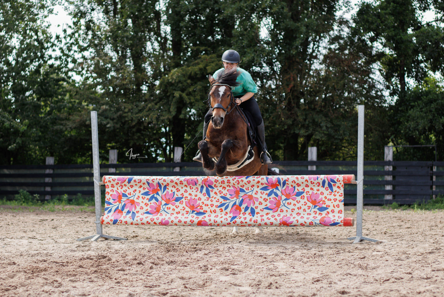Jumpbanners - Hinderniszeil Standard Pinkie Panther