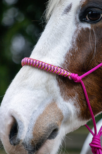 Rope Halter Vienna Noseband Fuchsia, Beige, Caramel, and Bordeaux
