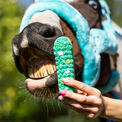 Candy Horse - Rainbow World Limited Collection - Party Eclair