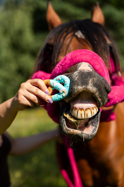 Candy Horse - Rainbow World Limited Collection - Versierde Pretzels 6st.