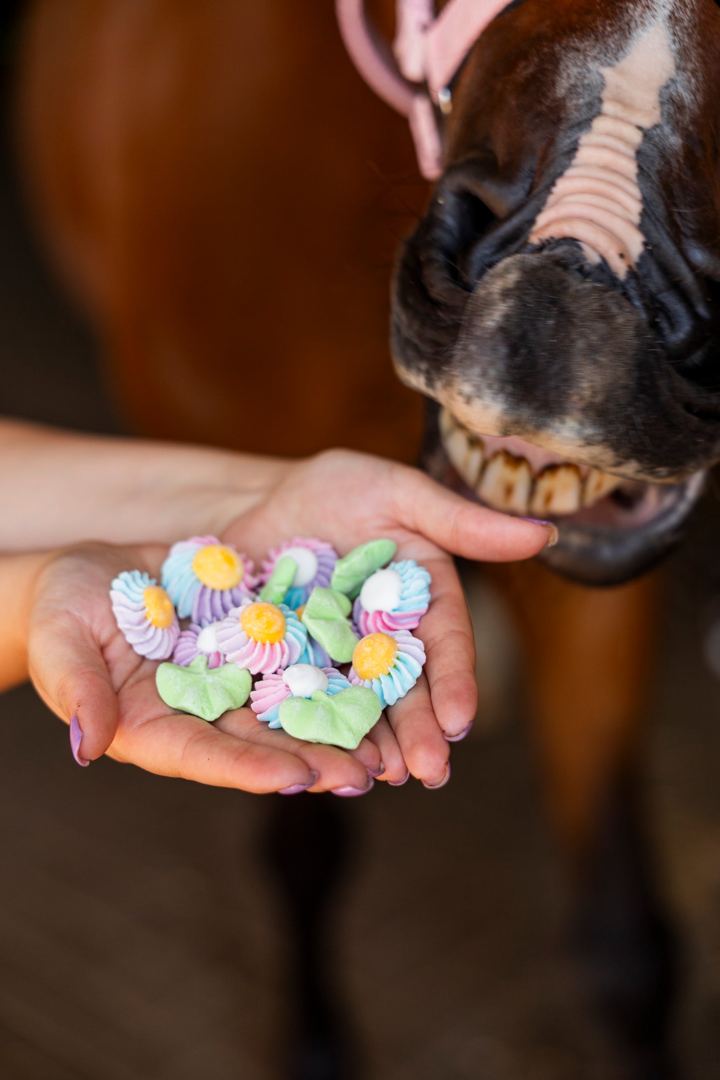 Candy Horse - Rainbow World Limited Collection - zakje Sweets: Flowers