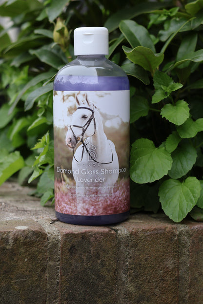 Donqui Gloss Lavender Shampoo