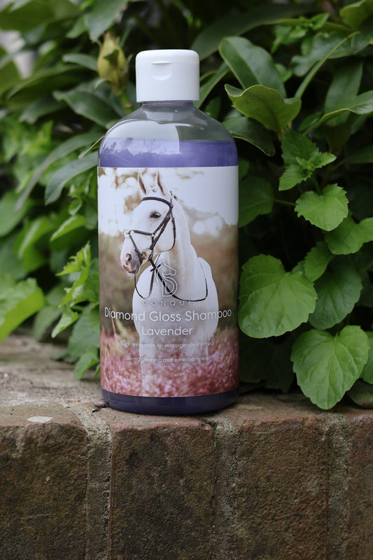 Donqui Gloss Lavender Shampoo