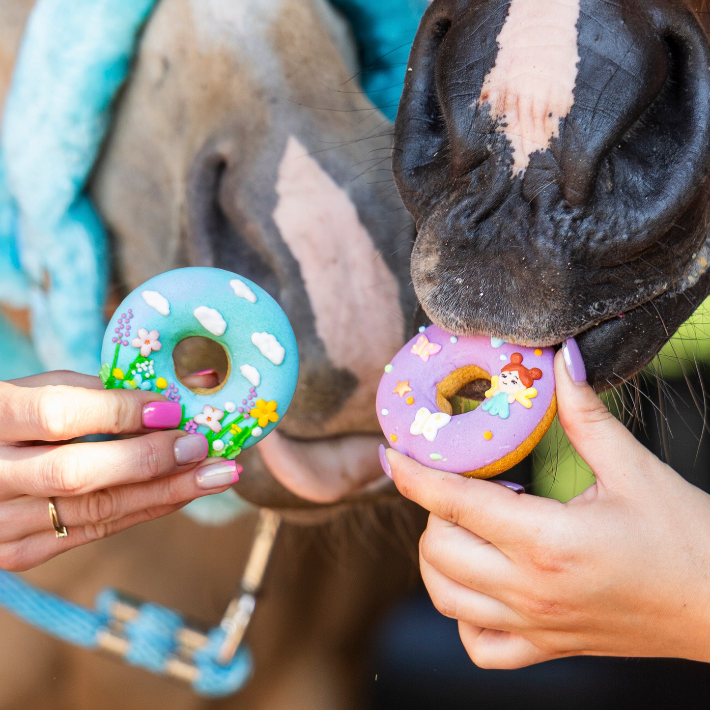 Candy Horse - Rainbow World Limited Collection - Versierde donuts 2st.