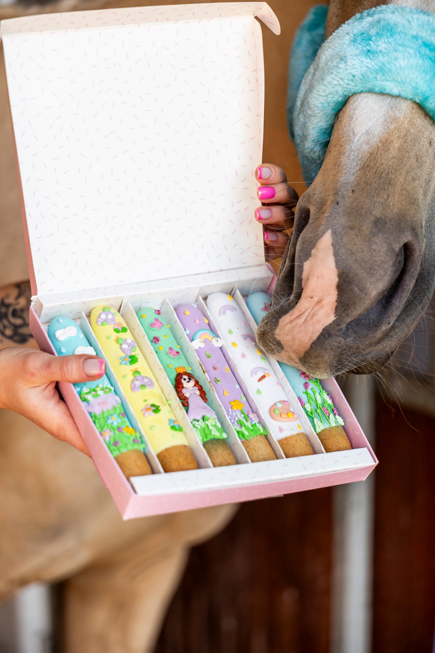 Candy Horse - Rainbow World Limited Collection - Versierde Sticks 6st.
