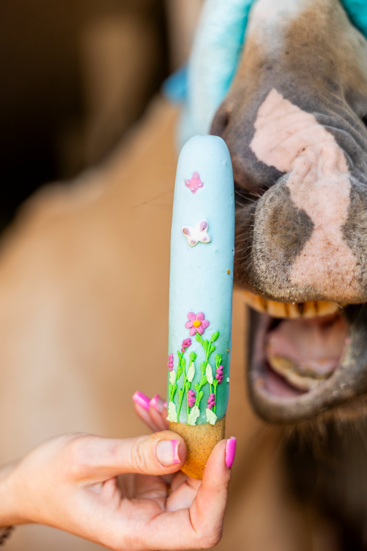 Candy Horse - Rainbow World Limited Collection - Versierde Sticks 6st.