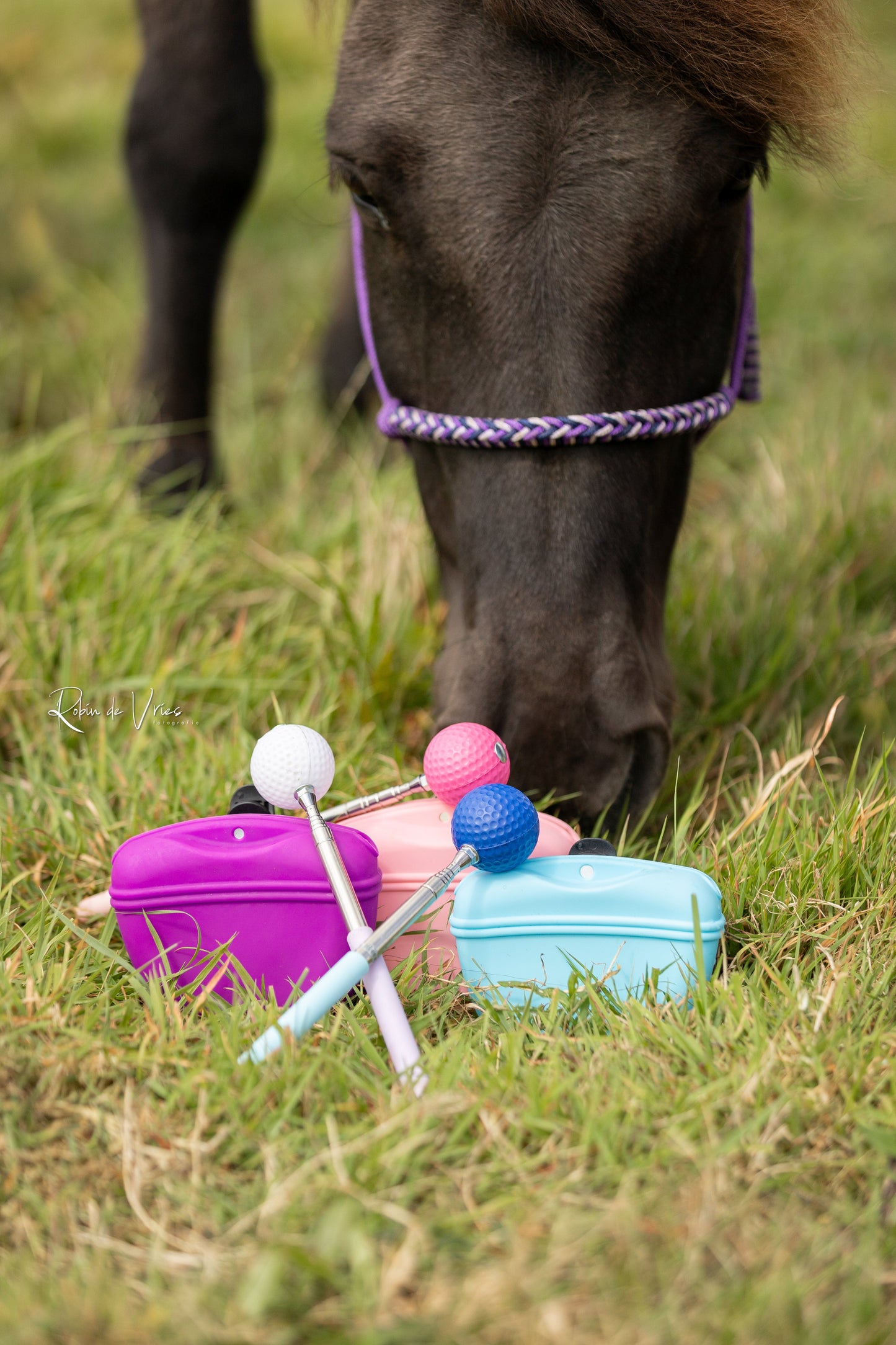 Myrthe's Paardenpassie - Bâton cible