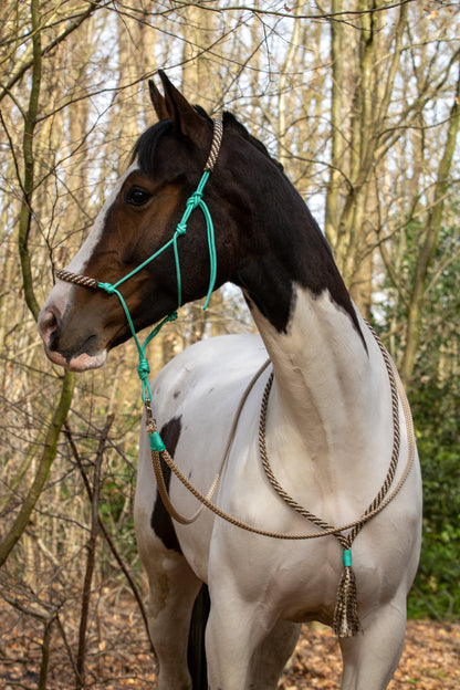 Rope holster set whispering willow