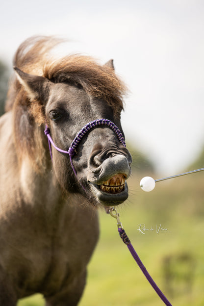 Myrthe's Paardenpassie - Targetstick