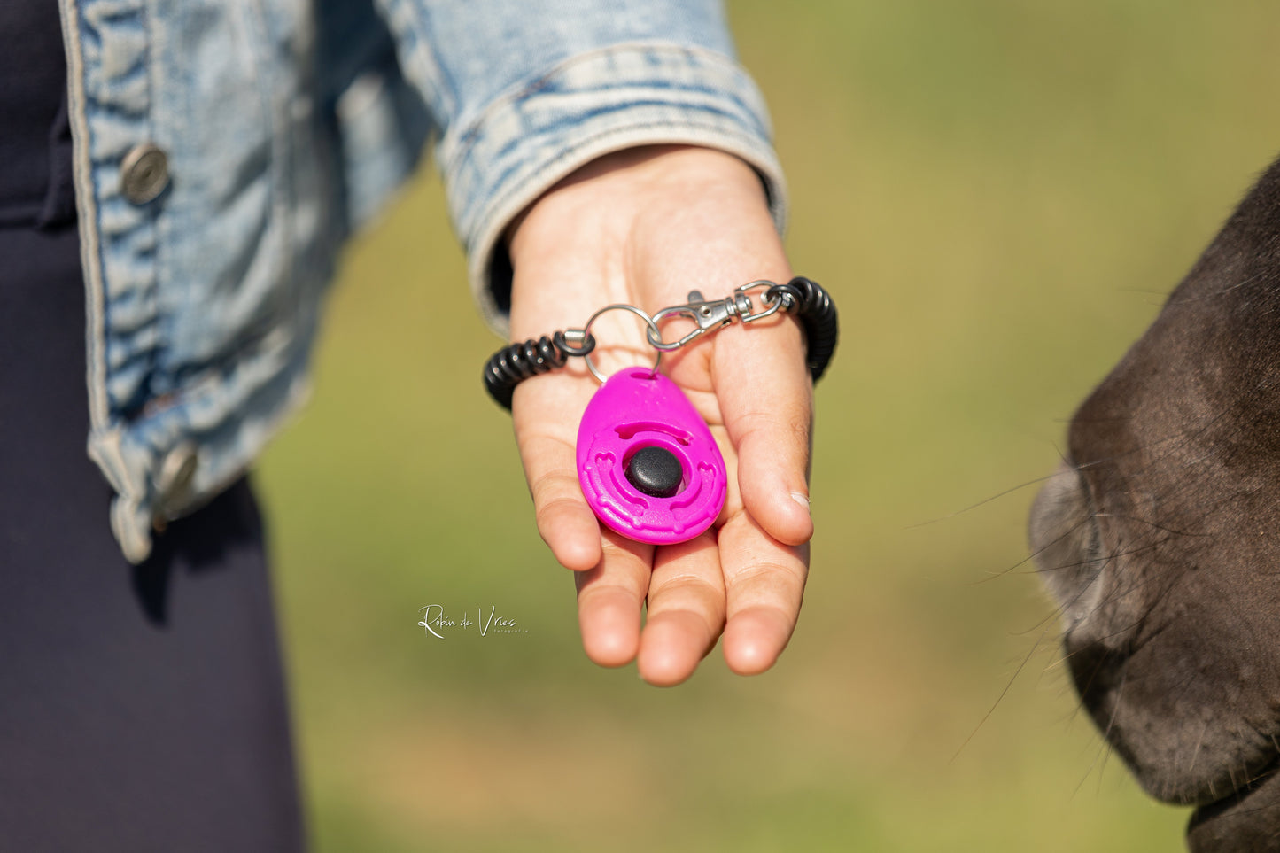 Myrthe's Paardenpassie - Clicker