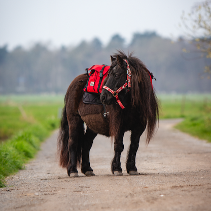 Equi-Pack - Pony rugzak