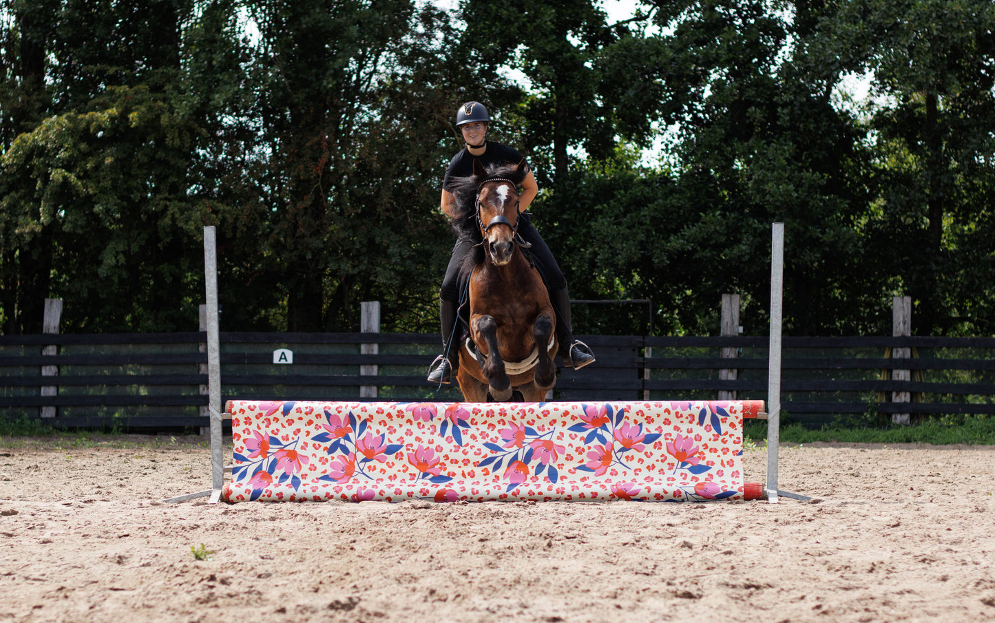 Jumpbanners - Hinderniszeil Standard Pinkie Panther
