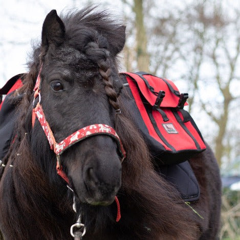 Equi-Pack - Zaino pony