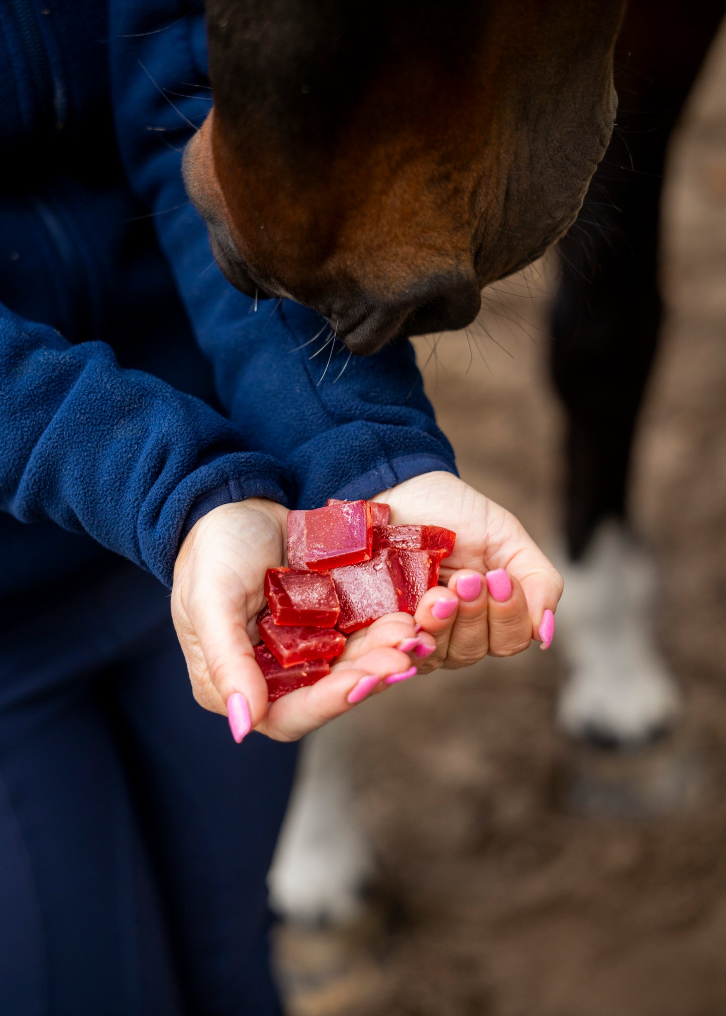 Candy Horse - Bonbons pour chevaux Fruit Jellies Cerise & Cardamome