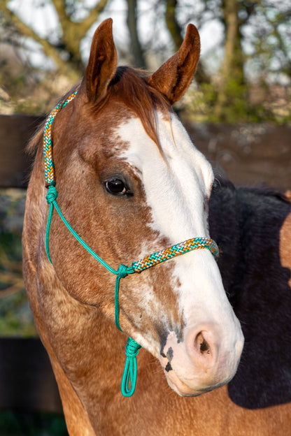 Rope halter emerald jungle