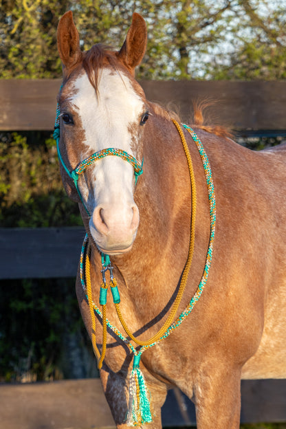 Touwhalster set green karamel
