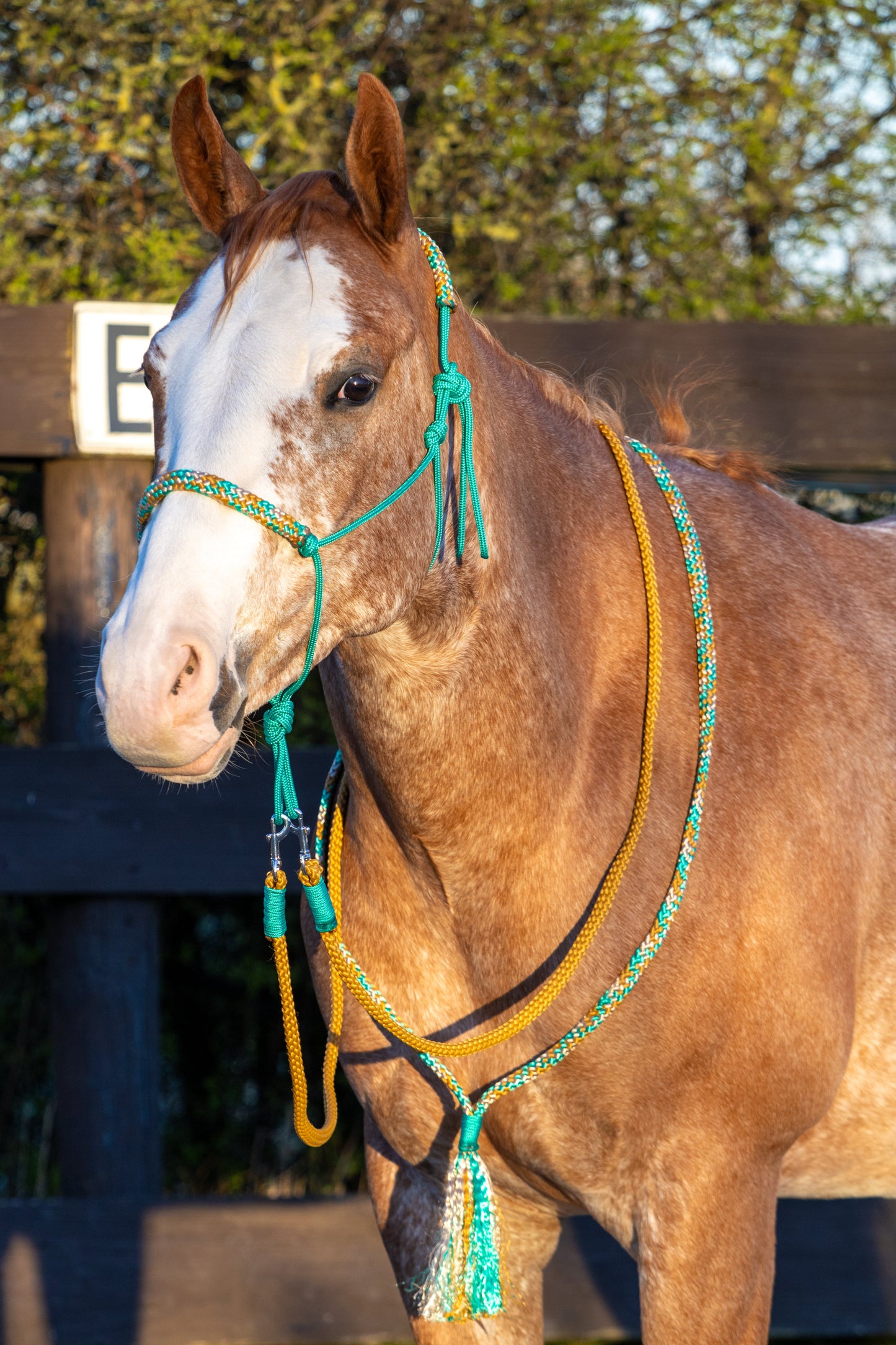 Rope holster set green caramel